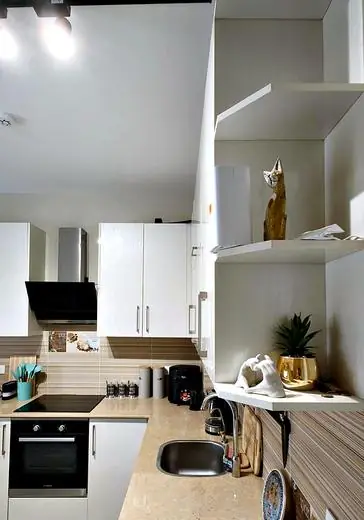Kitchen shelves and extractor hood