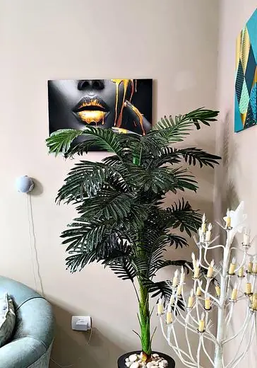 Décor and a palm